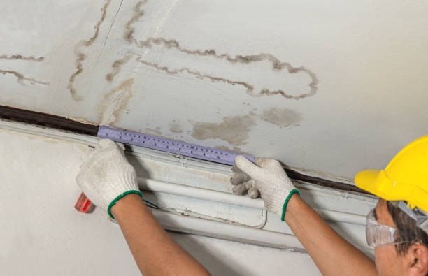 Reliable Burst Pipe Cleanup contractor in Defiance, OH by Water Damage Irwin